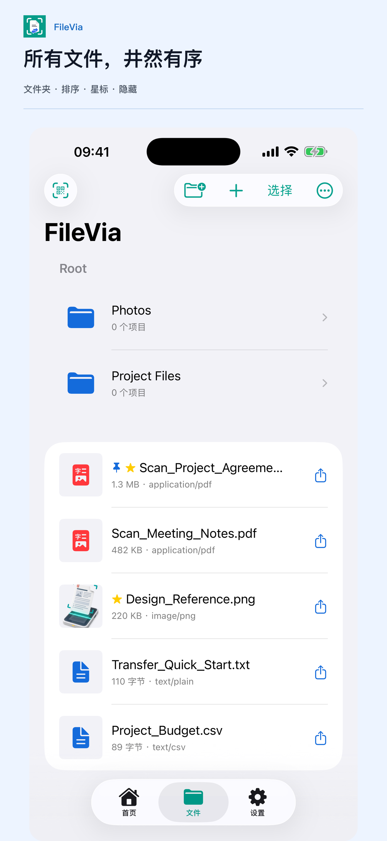 FileVia 文件管理实际页面