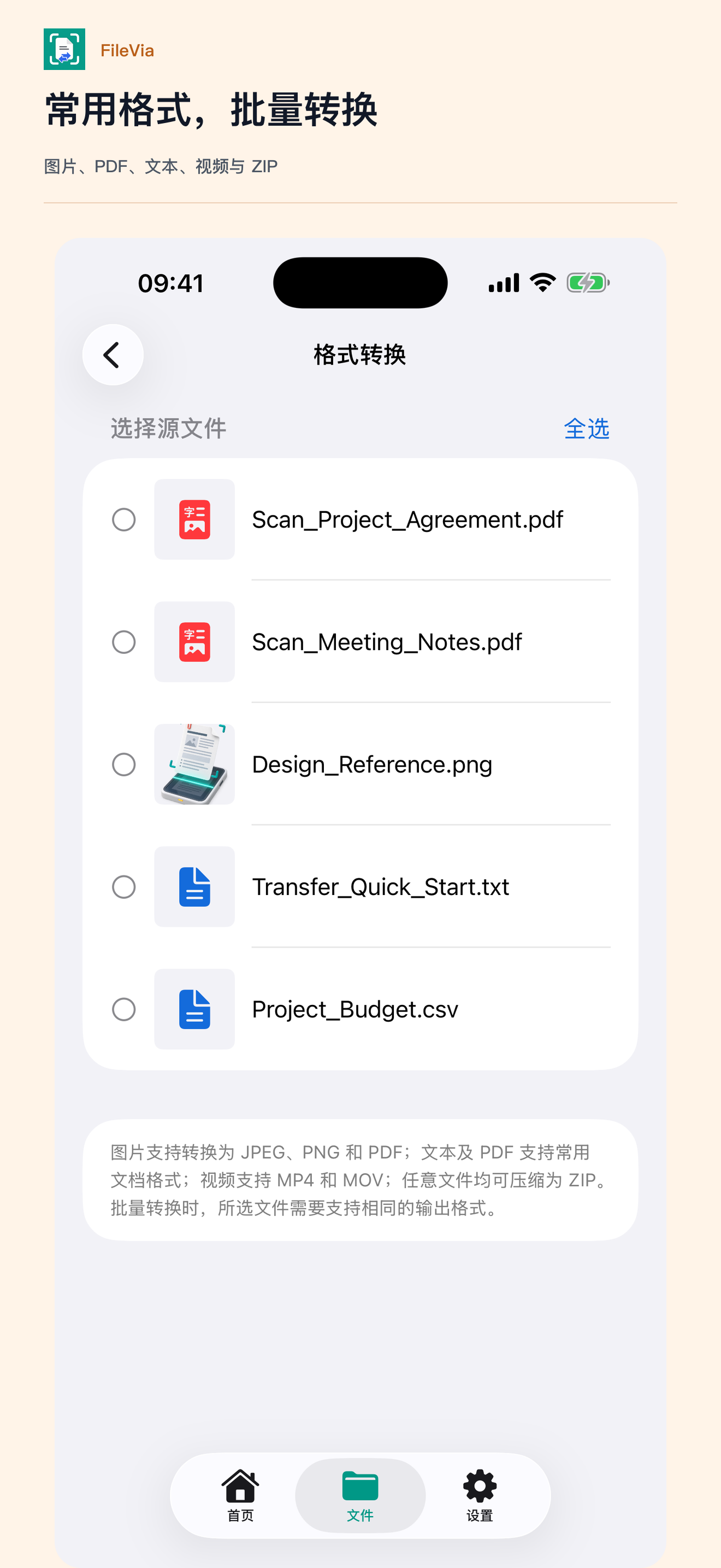 FileVia 格式转换实际页面